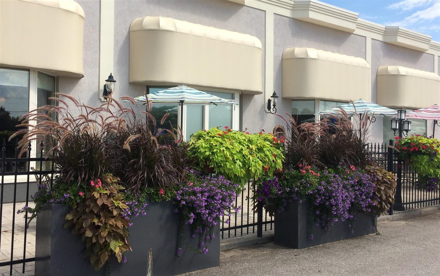 Western Mariposa & Conference Centre Hotel Orillia